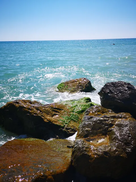 place image