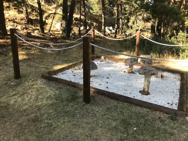 Sendero Micológico de Bronchales