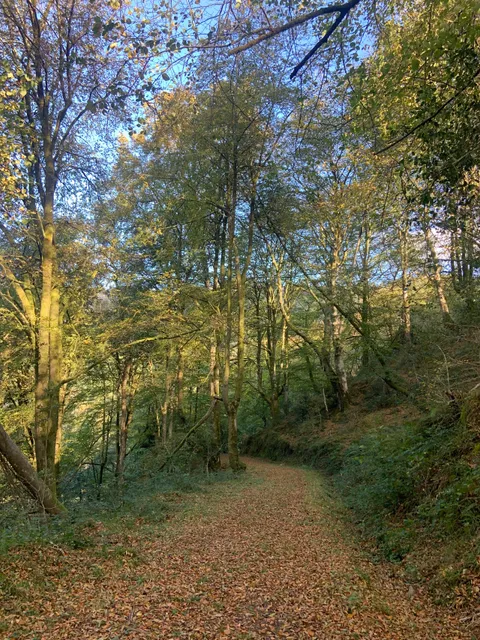 Ruta a la viesca de Cea