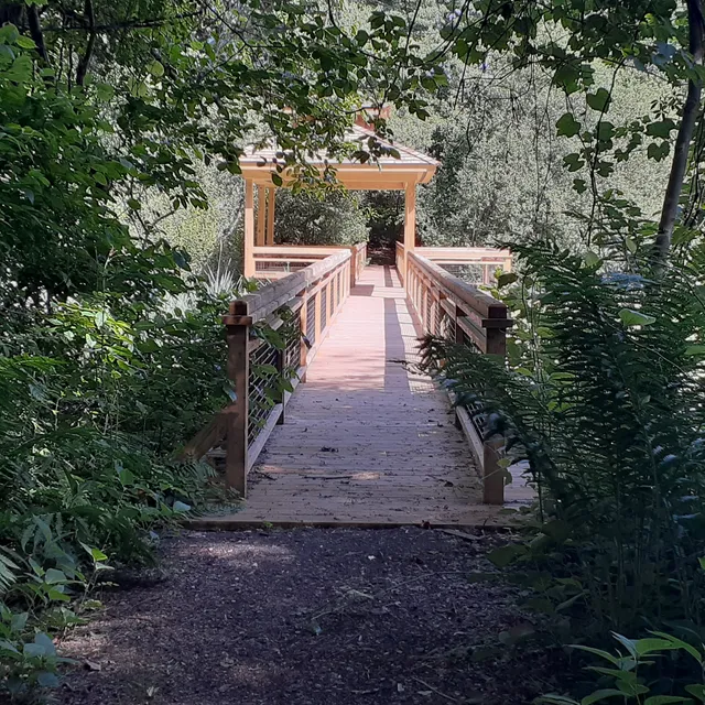 CT Audubon Birdcraft Museum