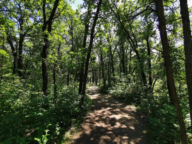 Seine River Greenway’s Trail