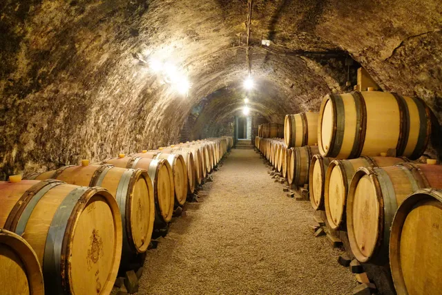 Domaine Bernard Delagrange et Fils