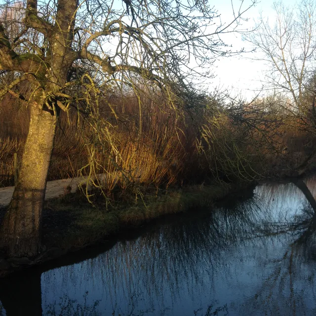 Jardins Éphémères - Isle Nature