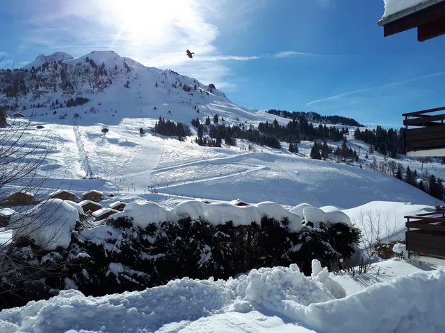 Chinaillon Grand Bornand