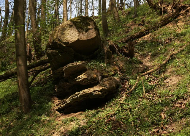 Rezerwat przyrody Skalisty Jar Libberta