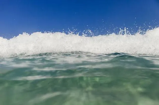 Rollins Museum of Art