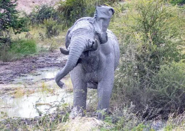 Rozštípená skála