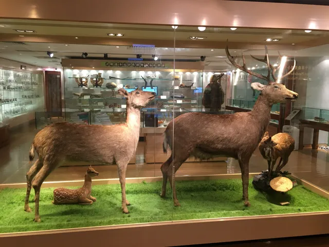 Hong Kong Baptist University Dr. & Mrs. Hung Hin Shiu Museum of Chinese Medicine