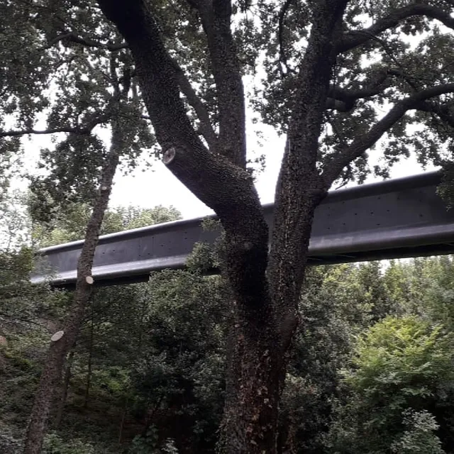 Passerelle des Anges