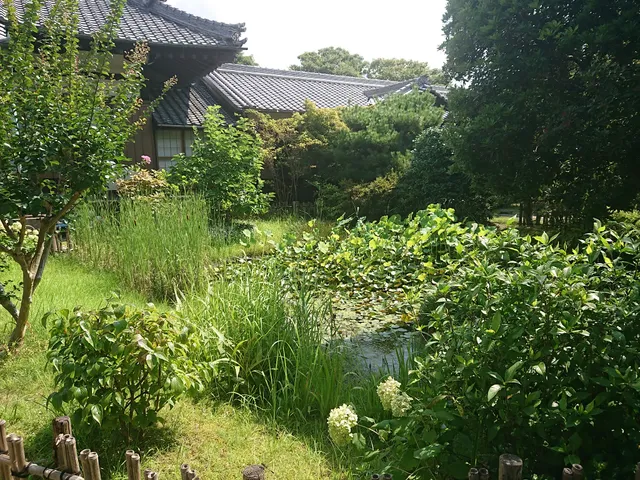 photo-1