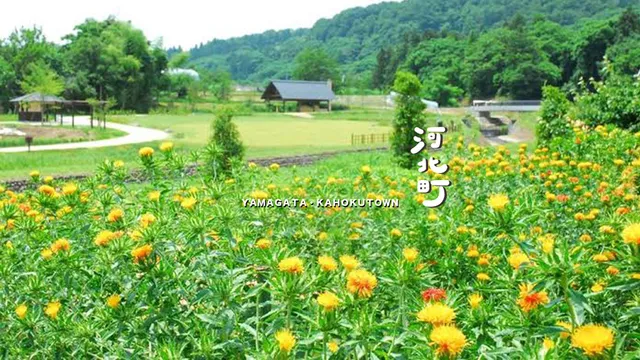 ミチノエキカホク