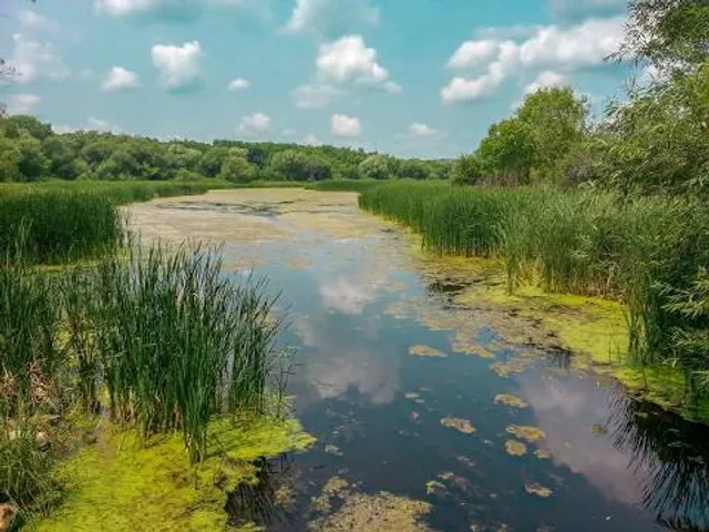 Lake Kegonsa State Park