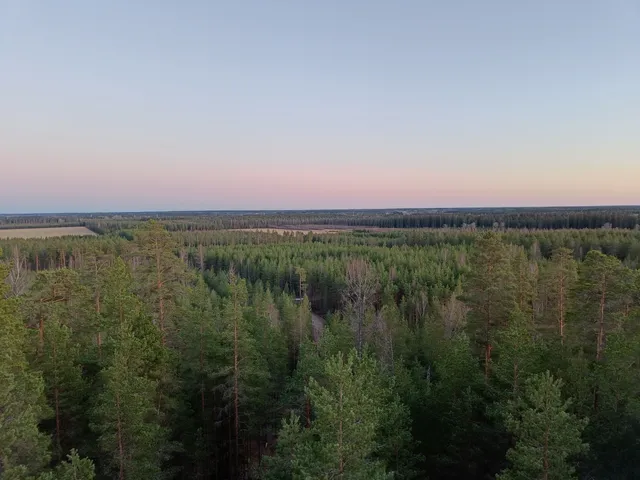 Hevonlinna Observation Tower