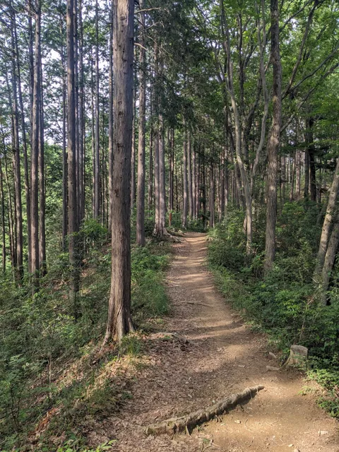 Ome Hills Hiking Course