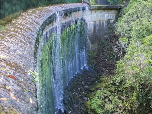 Birchville Dam