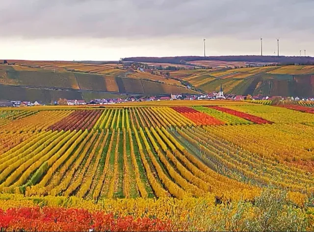 terroir f Nordheim am Main: Wein-Persönlichkeiten