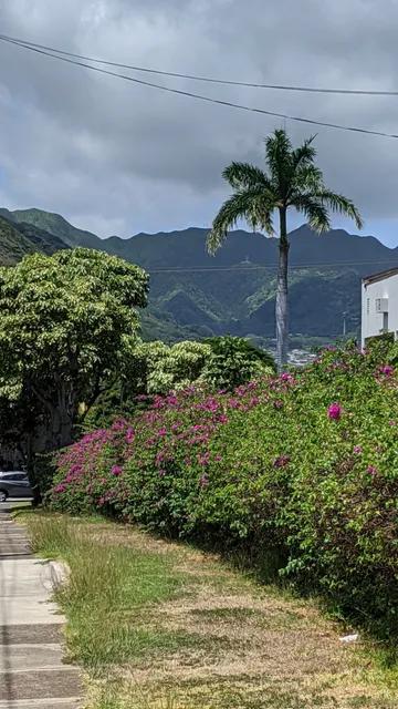 Kaimuki Shopping Center
