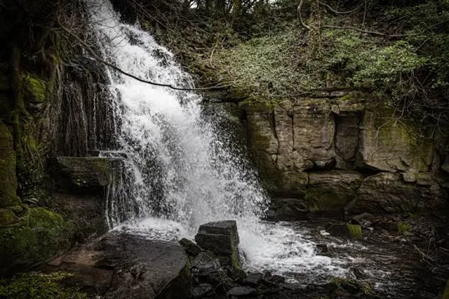 Harmby Waterfall