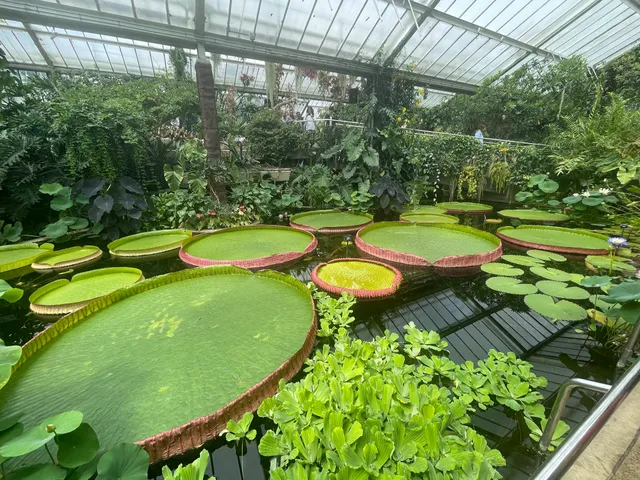 place image