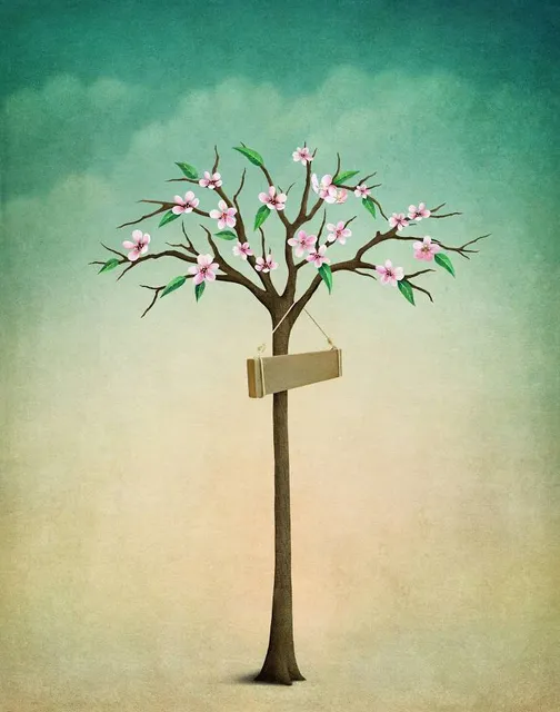 Provincial Museum of Contemporary art MAR