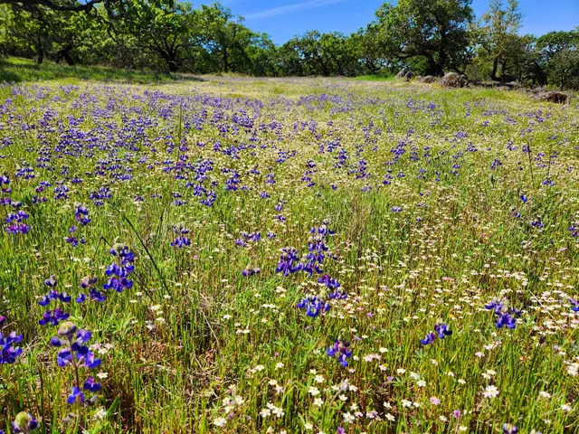 Trione-Annadel State Park