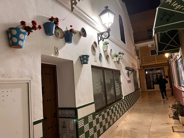 Apartamentos Alegría