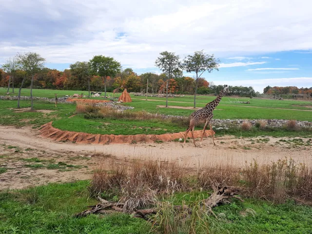 Hand & Stone Massage and Facial Spa