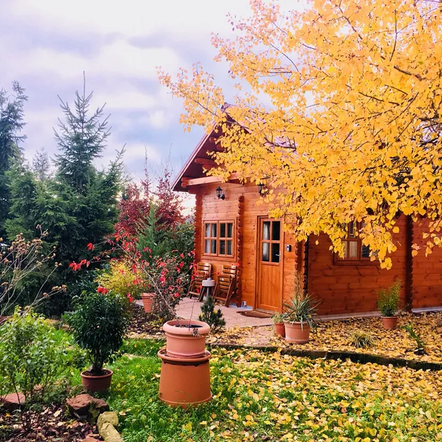 Kleine Pfalz Ferienhaus