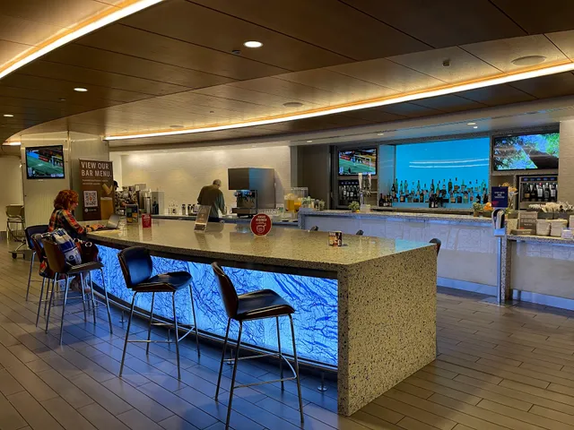 Delta Sky Club - Concourse A