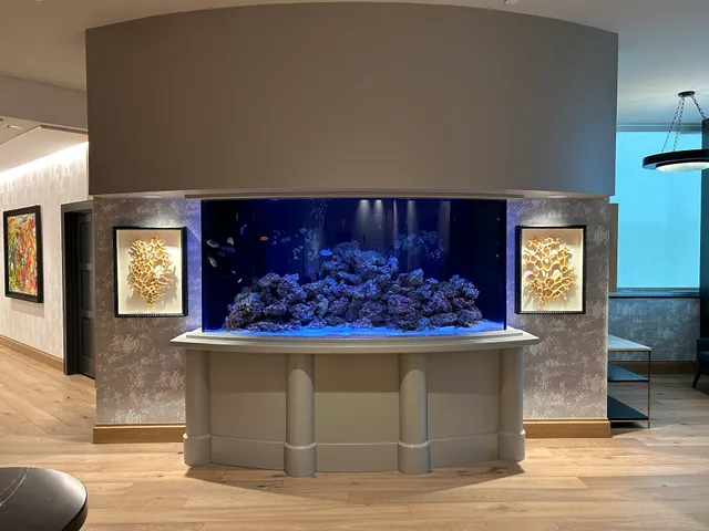 FTF Aquarium Services