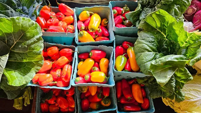 Bridgeway Farmers Market