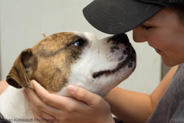 Humane Society Of The Tennessee Valley