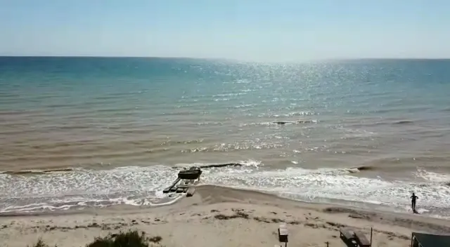 CHERNAIA ZHEMCHUZHINA