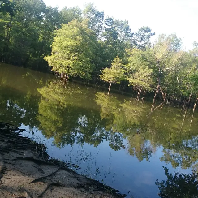 Brookeland Missionary Baptist Church