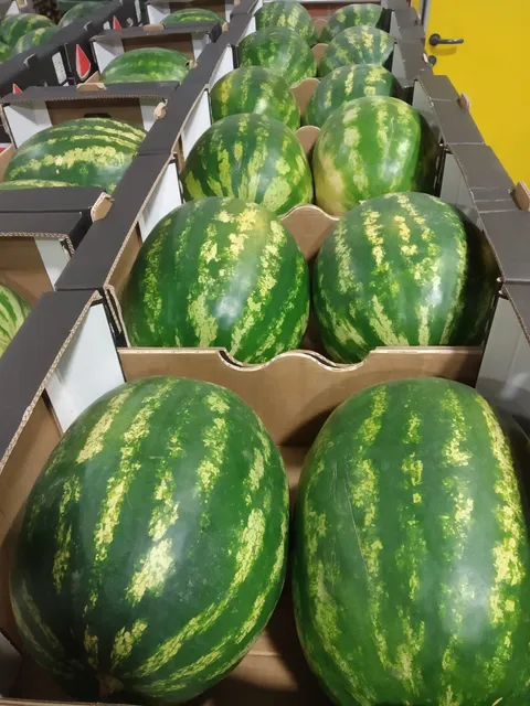 Agro Food Center Rimini SpA