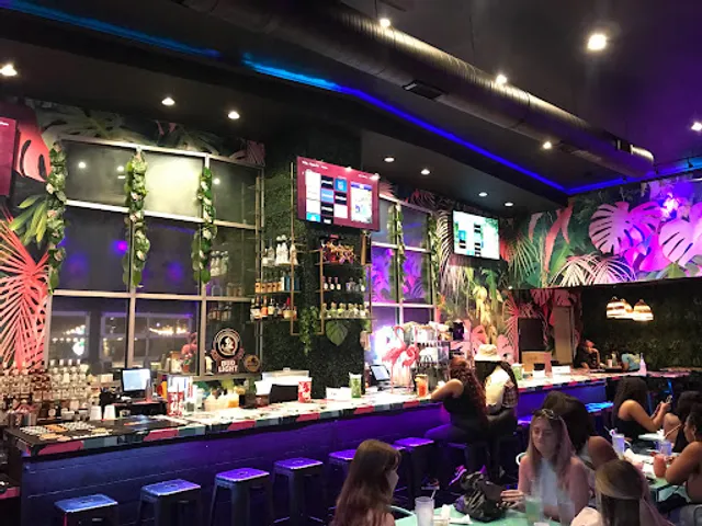 Flamingoz A Taste of Miami