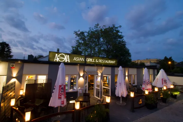 AOIA Asian grill & Restaurant - restauracja indyjska turecka Warszawa - halal jedzenie - curry tandoori i grill Warszawa