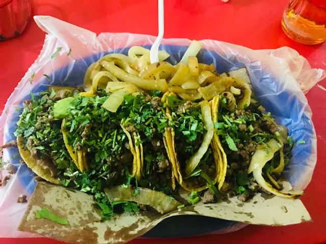 Taquería Río Bravo