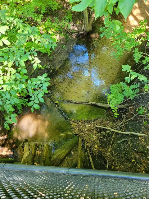 White Pine Trail - Access Point