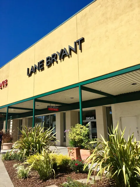 Lane Bryant