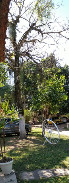 Aconchego dos Vovôs