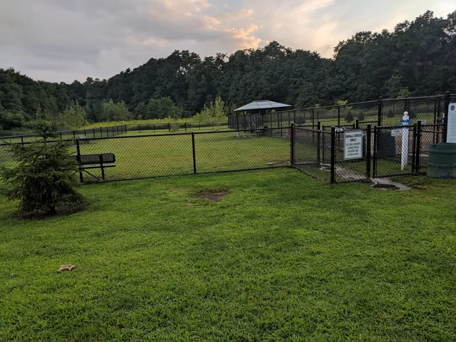 Dennis Brian Murray Dog Park