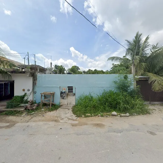 SOJOL hortalizas orgánicas