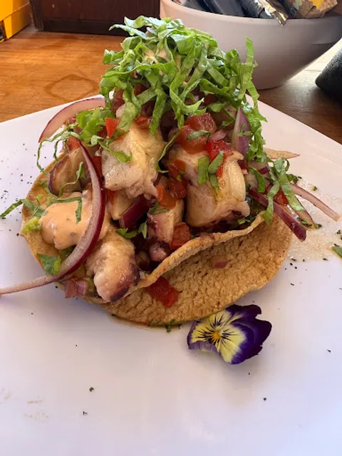 Club de Playa Son Vent