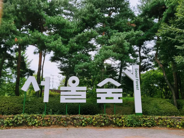 Seoul Forest Parking Lot