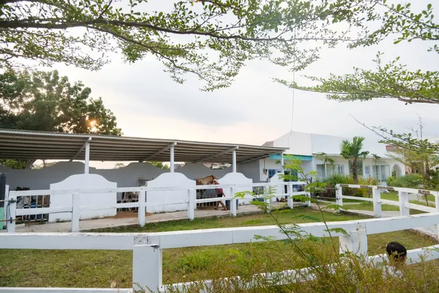 WabiSabi Jogja Villa