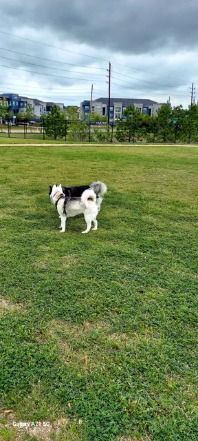 Dog Park at Atascocita Park