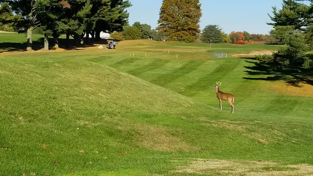 Springfield Twp Golf Course