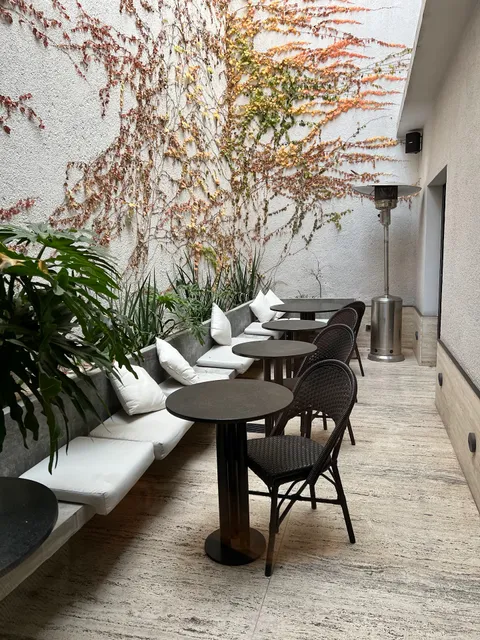 El Papagayo Petit Cafe & Vermouth Bar