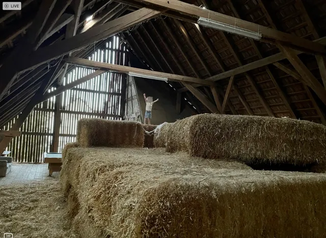 Brunnenhof family Hein